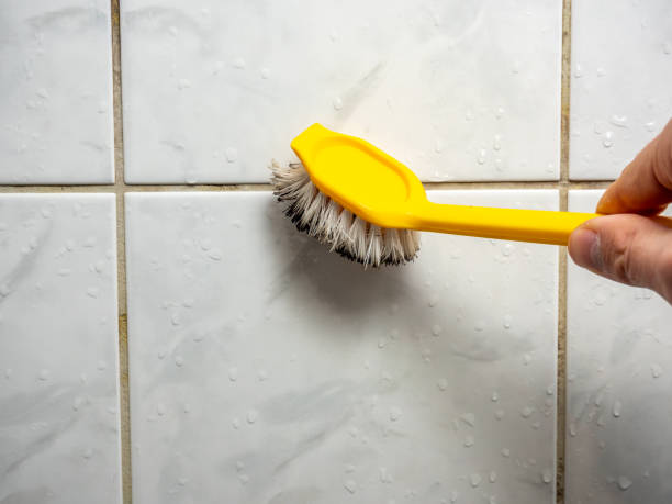 Best Mold Damage Repair  in Pasadena, CA