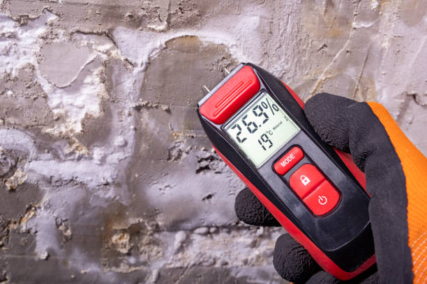 Best Toxic Mold Removal  in Pasadena, CA
