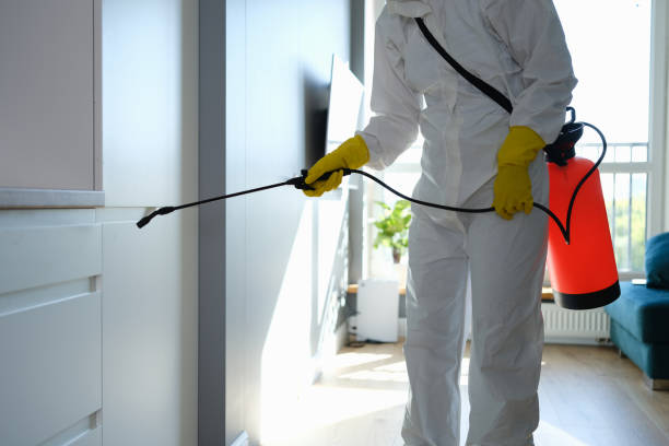 Mold Removal and Inspection in Pasadena, CA